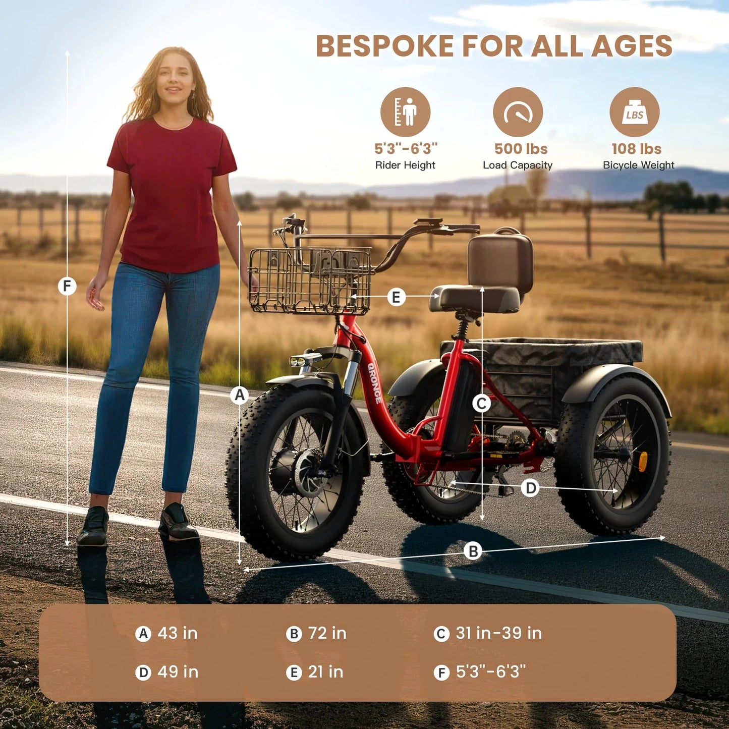 QRONGE 960W Peak Electric Tricycle With 36V Battery