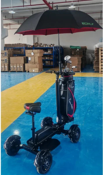 AESWGOF 2400W Electric Golf Cart High Power Folding Scooter